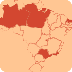 Mapa do Brasil com estados de atuação